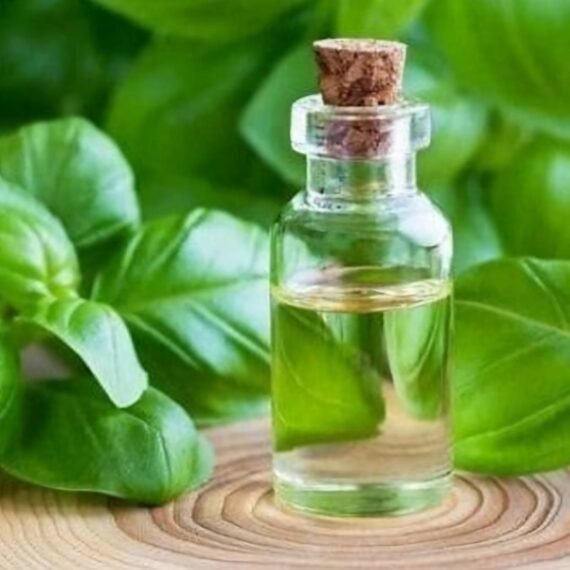 Basil Essential Oil