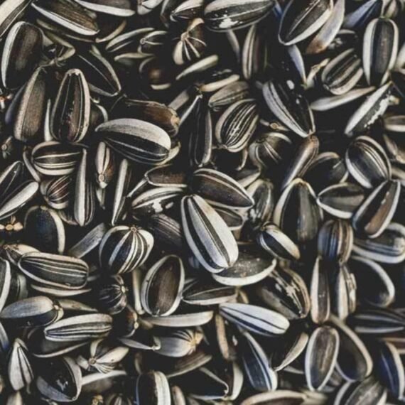 ⁦Sunflower Oil⁩ - الصورة ⁦2⁩