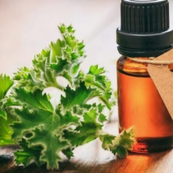 Citronella Essential Oil