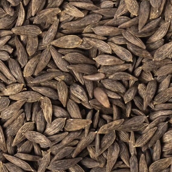 ⁦Lettuce Seed Oil⁩ - الصورة ⁦2⁩