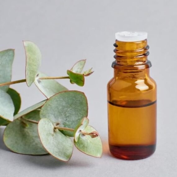 Eucalyptus Essential Oil
