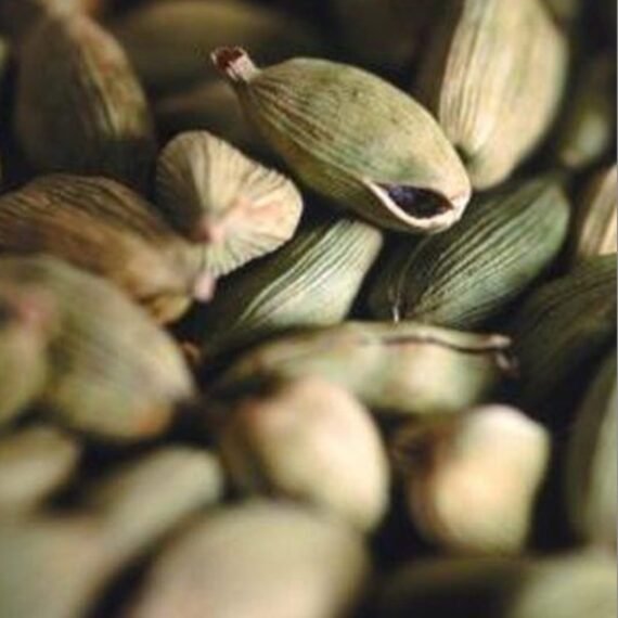 ⁦Cardamom CO² Extract⁩ - الصورة ⁦2⁩