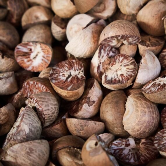 ⁦Nutmeg CO² Extract⁩ - الصورة ⁦2⁩