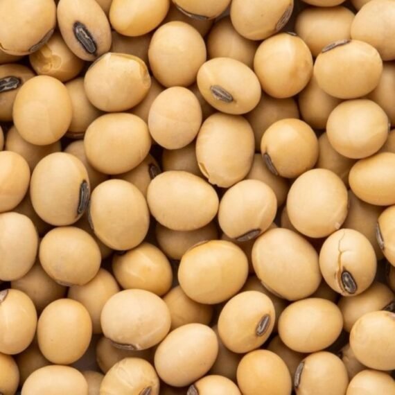 ⁦Soybean Oil⁩ - الصورة ⁦2⁩