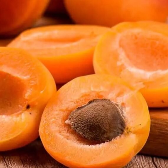 ⁦Apricot Kernel Oil⁩ - الصورة ⁦2⁩