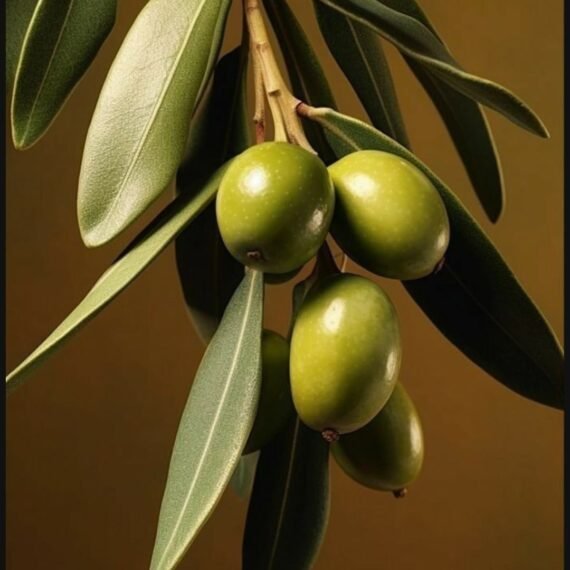 ⁦Extra Virgin Olive Oil⁩ - الصورة ⁦2⁩