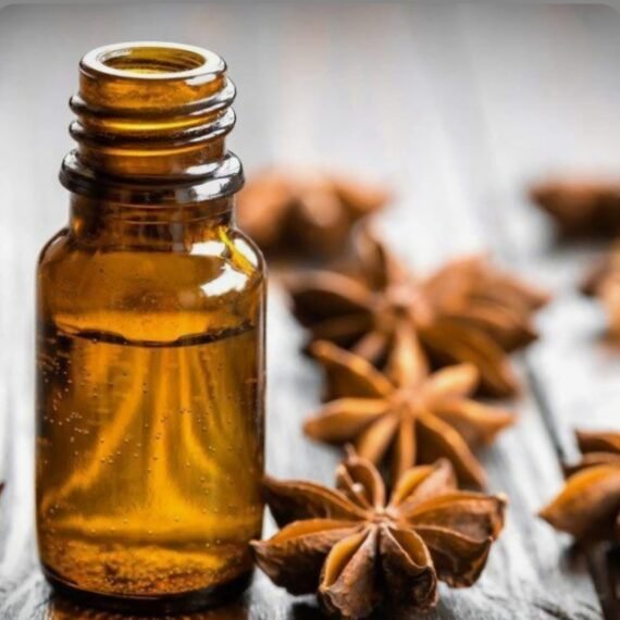 Anise Essential Oil