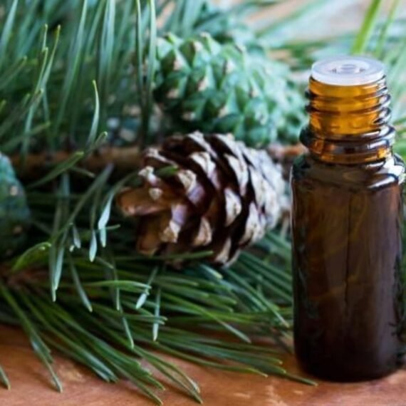 Cedarwood Essential Oil