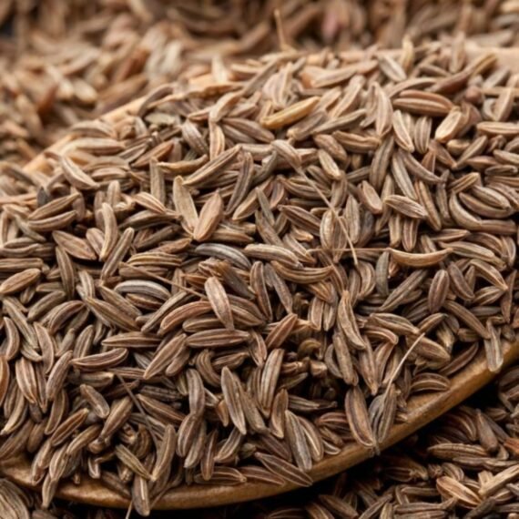 ⁦Caraway CO²  Extract⁩ - الصورة ⁦2⁩