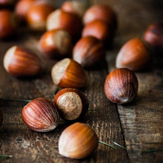 ⁦Hazelnut CO² Extract⁩ - الصورة ⁦2⁩