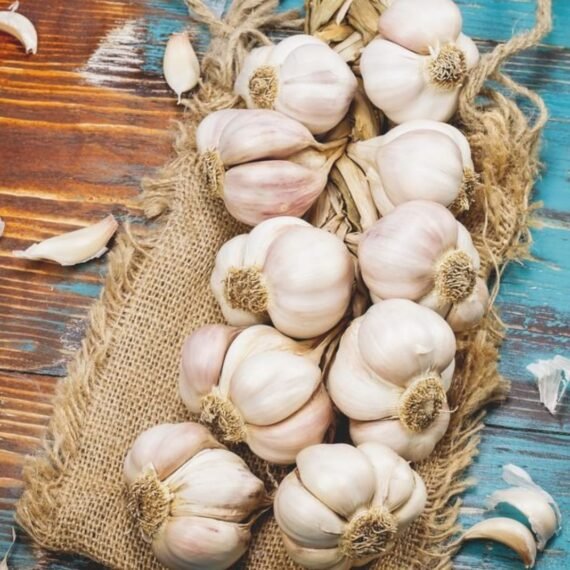 ⁦Garlic CO² Extract⁩ - الصورة ⁦2⁩