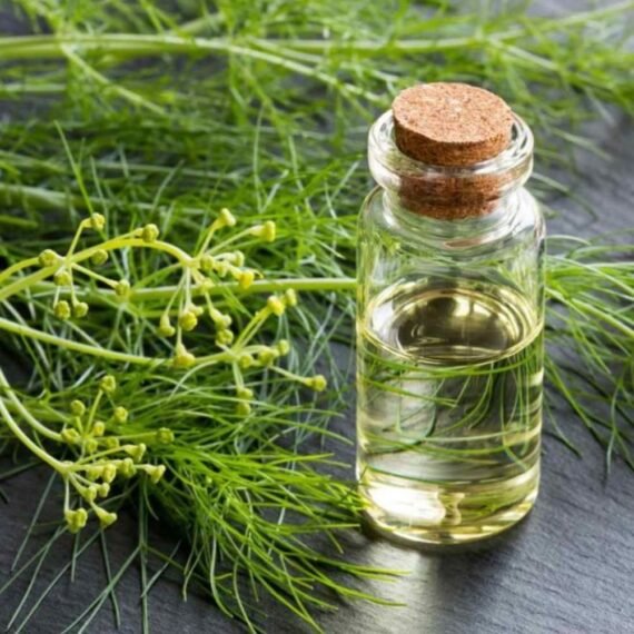 Fennel CO² Extract