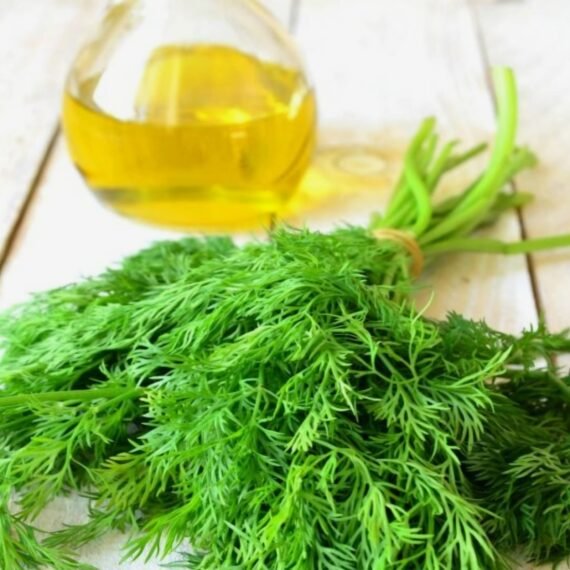 Dill CO² Extract
