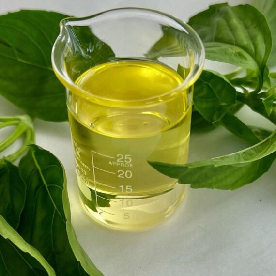 Lettuce Seed Oil