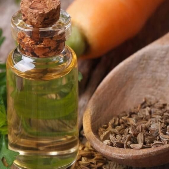 Carrot Seed Oil