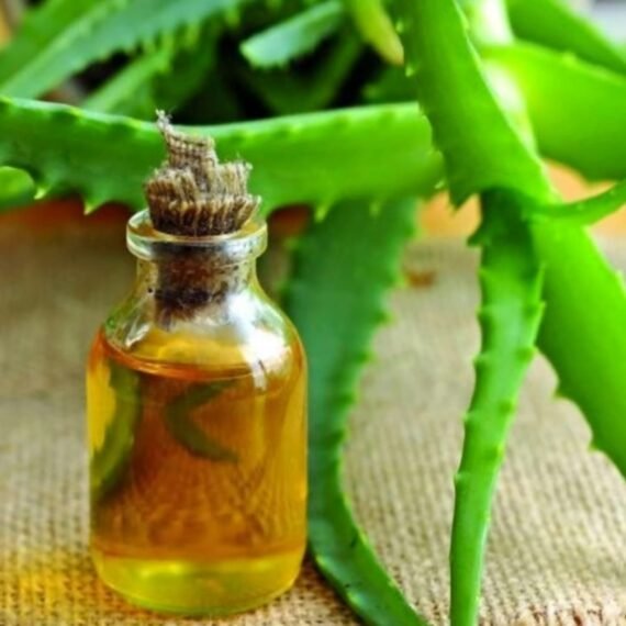 Aloe Vera Oil