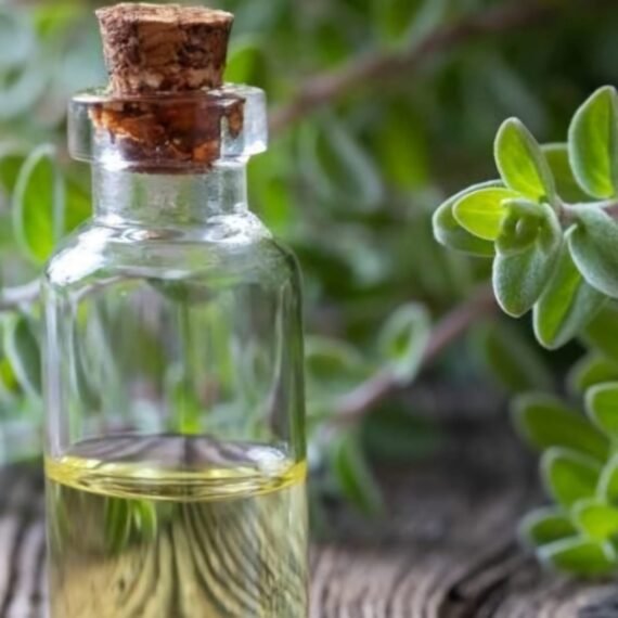 Marjoram Essential Oil