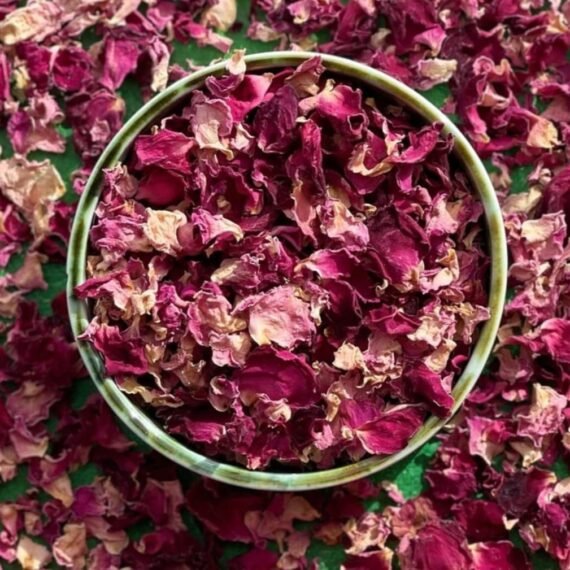 Dried Rose
