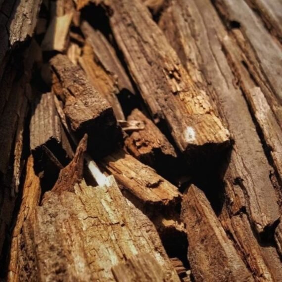 Oud Fragrance